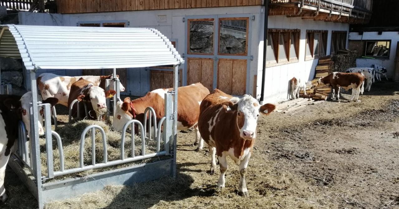 Ferienwohnungen Niederarnigerhof Familie Bauernfeind Kals-am Großglockner Eksteriør billede